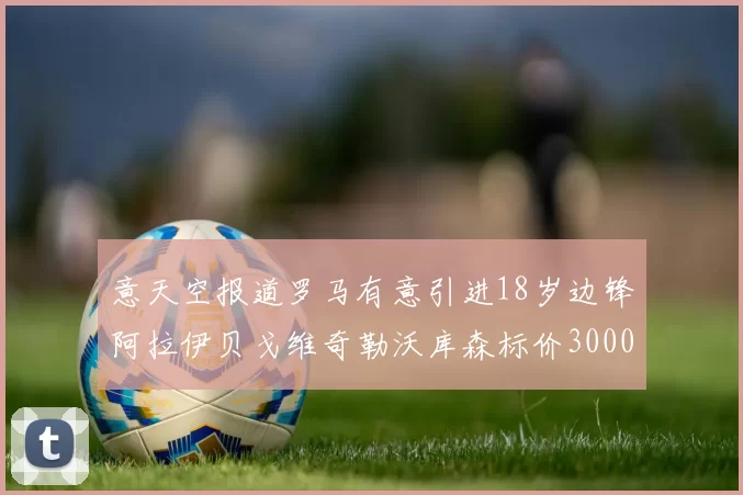 意天空报道罗马有意引进18岁边锋阿拉伊贝戈维奇勒沃库森标价3000万欧元